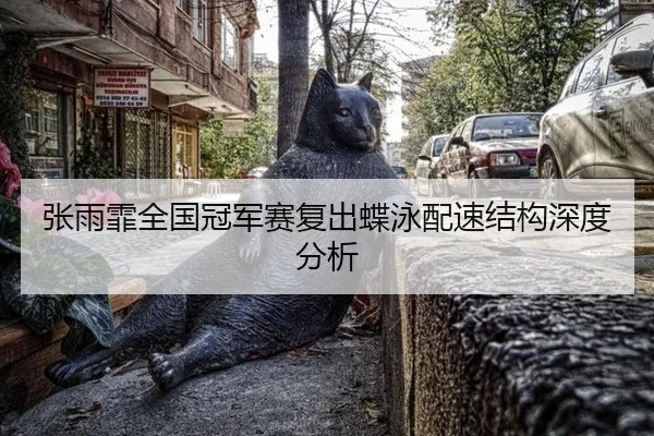 张雨霏全国冠军赛复出蝶泳配速结构深度分析